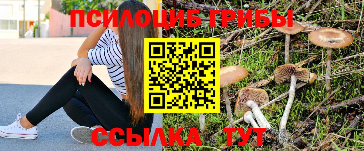 Кстово  Галлюциногенные грибы MAGIC MUSHROOMS  Вход с VPN  Псилоцибиновые грибы ЛСД 